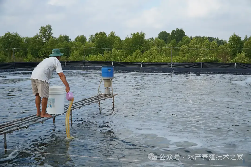 從精選到投喂，實(shí)現(xiàn)成本直降 20%